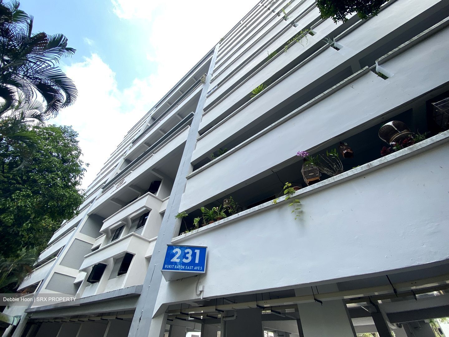 Blk 231 Bukit Batok East Avenue 5 (Bukit Batok), HDB 3 Rooms #413605881